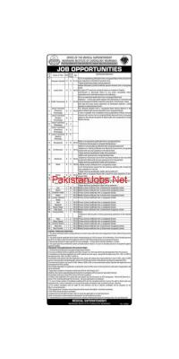 125+ Jobs In Wazirabad Institute Of Cardiology - advertisement image