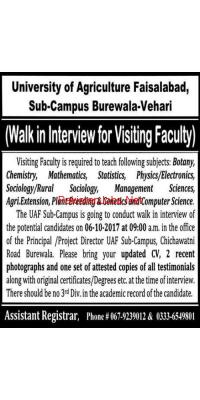 All Major Subjects Visiting Teachers In University Of Agriculture Vehari Campus - advertisement image