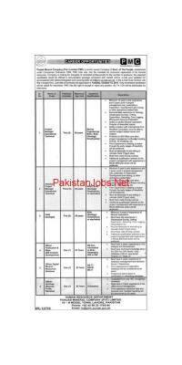 Jobs In Punjab Mineral Company Pvt Limited PMC - advertisement image