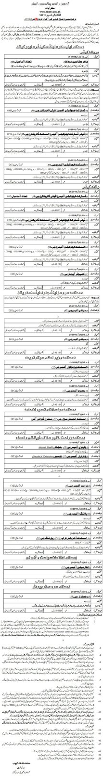 Vacancy Advertisement no. 1-/2019 ::: Urdu news - newspaper advertisement