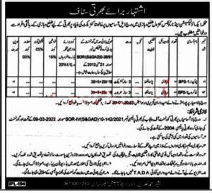 Department Of Excise And Taxation Punjab Jobs January 2023