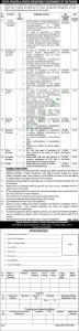 Department Of Sport And Youth Affairs Jobs In Punjab 2023